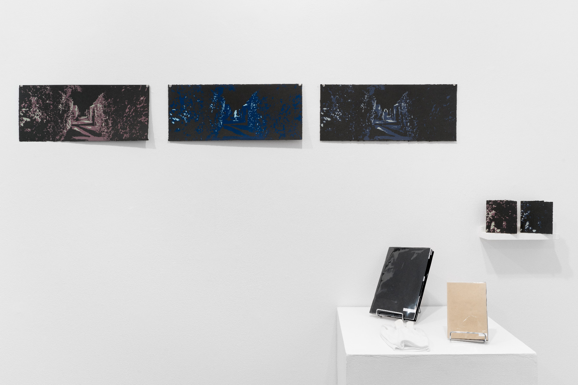 Lynda Gaudreau, Tre Argento, 2025, sérigraphie, photo : Jean-Michael Seminaro